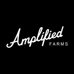 Amplified logo
