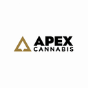 Apex logo