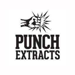 Punch Extracts logo