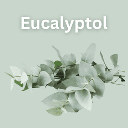 Eucalyptol