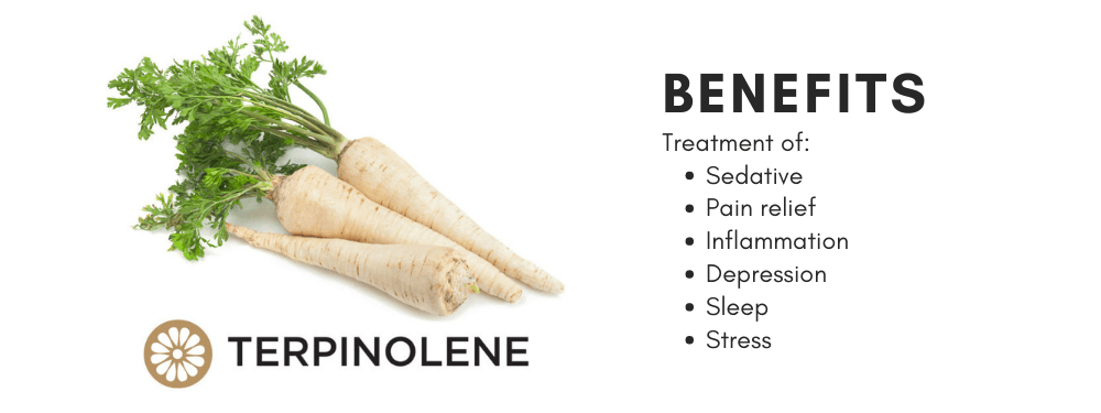 Terpinolene banner