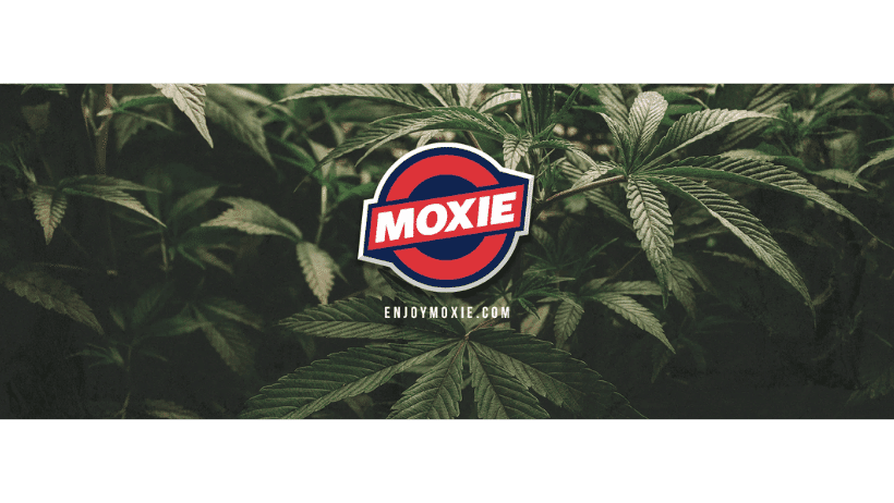 Moxie banner