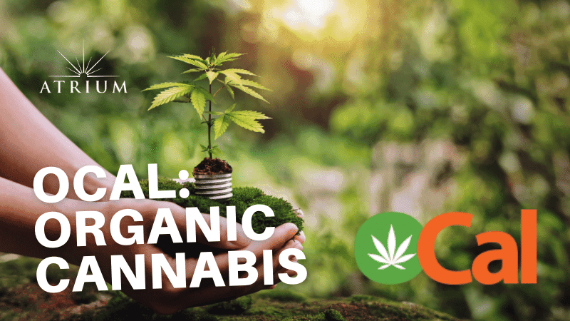 OCal: Organic Cannabis Certification in California