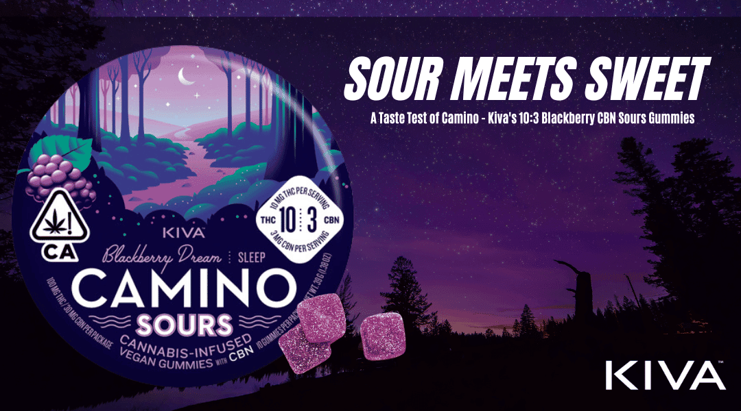 Sour Meets Sweet: A Taste Test of Camino - Kiva's 10:3 Blackberry CBN Sours Gummies