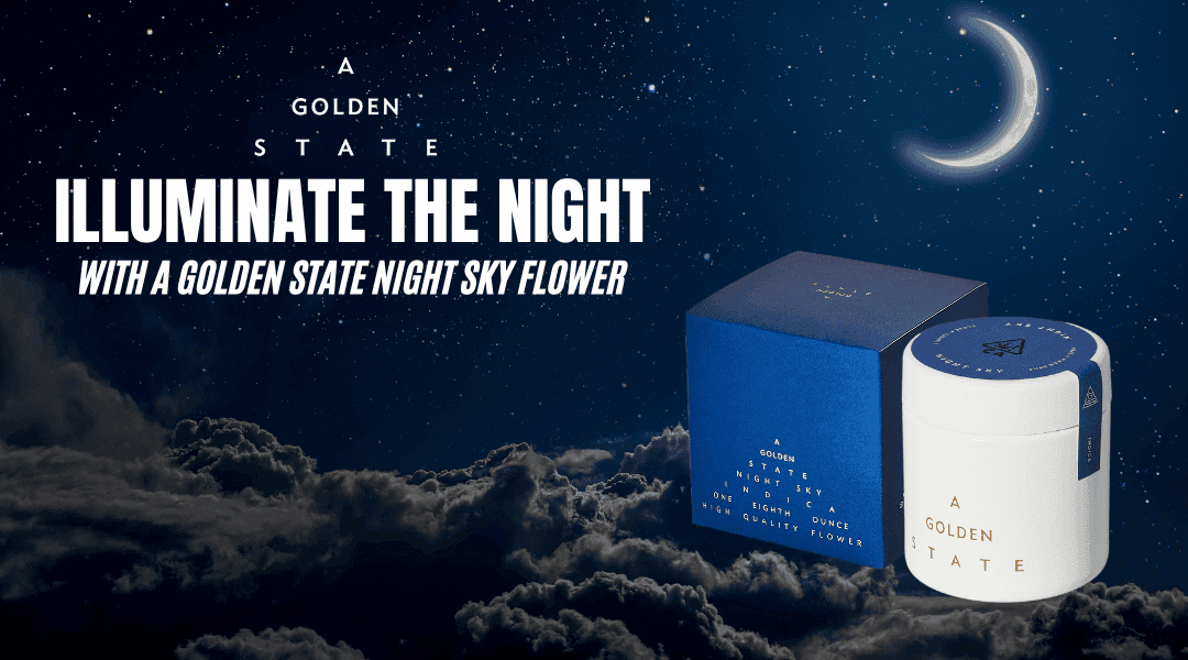 Illuminate Your Night with A Golden State's Night Sky Flower