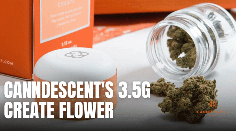 Ignite Your Creativity with Canndescent's 3.5g Create Flower