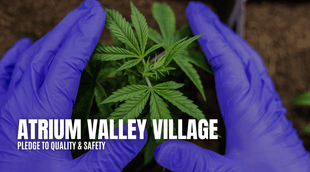 Atrium Valley Village: Our Pledge to Quality and Safety
