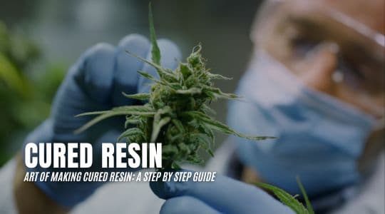 The Art of Making Cured Resin: A Step-by-Step Guide