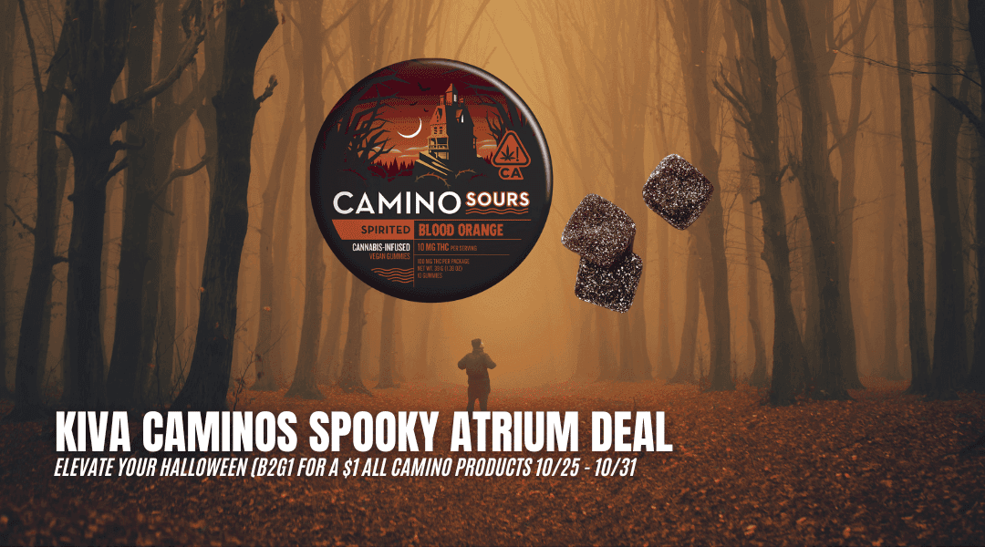 Kiva Caminos Spooky Atrium Deal: Elevate Your Halloween!