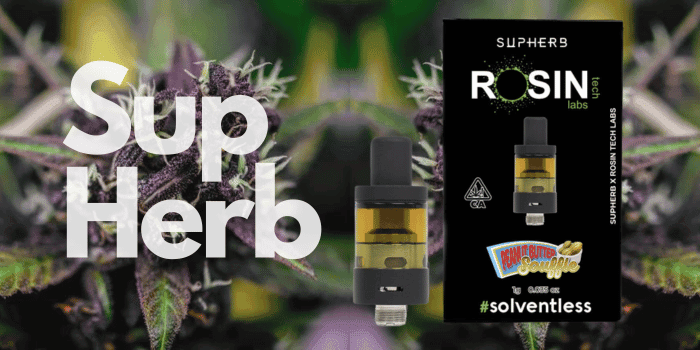 Introducing Supherb: The Next Big Thing in Herbal Remedies