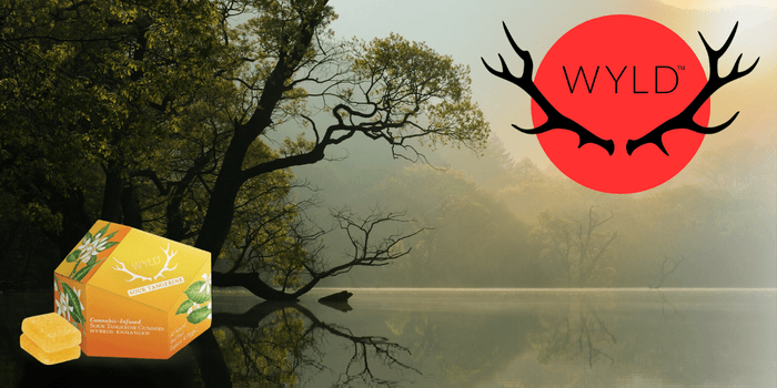 Diet-Friendly Snacking: Exploring Wyld's 100mg Vegan Fruit Chews